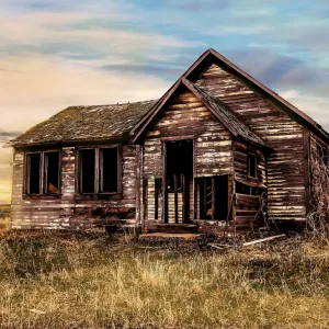 Abandono