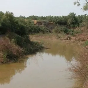 Água suja corrente