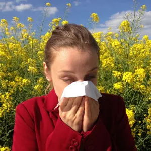 Alergia
