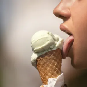 Alimentos congelados