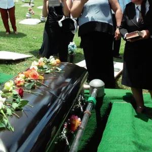 Amigo morto