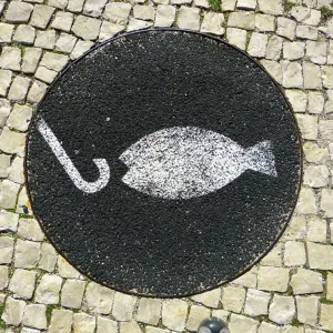 Anzol