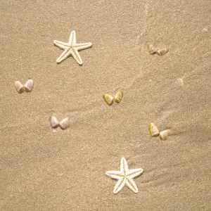 Areia