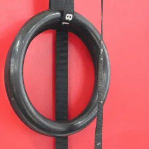 Argola
