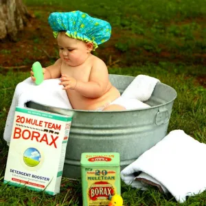 Bacia