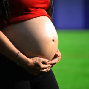 Barriga