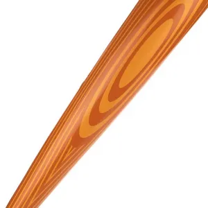 Bastão