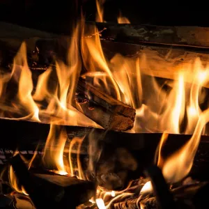 Brasa