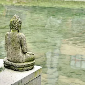 Buda