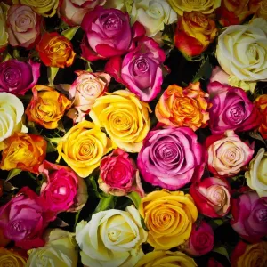 Buquê de flores