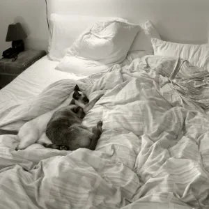 Cama desarrumada