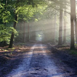 Caminhando