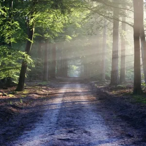 Caminho