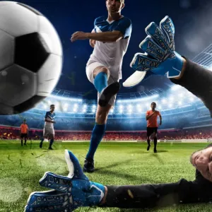 Campeonato brasileiro
