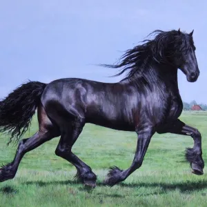 Cavalo preto