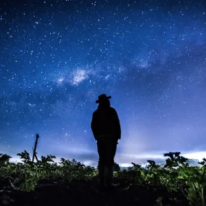 Céu estrelado