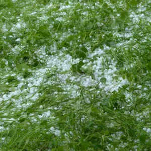 Chuva de granizo