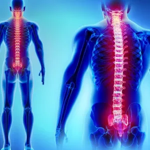 Coluna vertebral