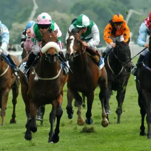 Corrida de cavalos