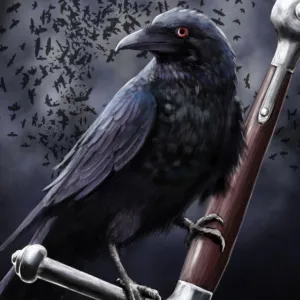 Corvo
