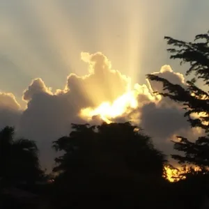 Crepúsculo