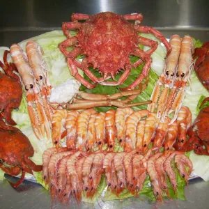 Crustáceos