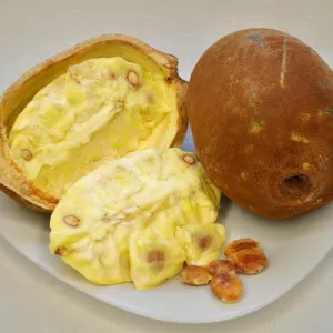 Cupuaçu