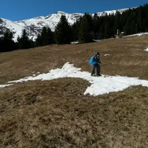Descongelar