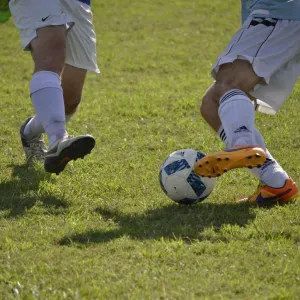 Drible