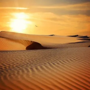 Dunas de areia