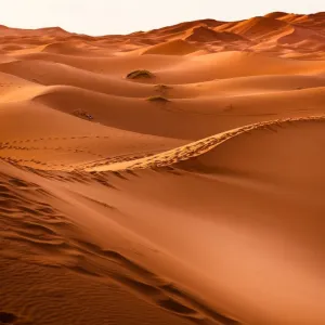 Dunas