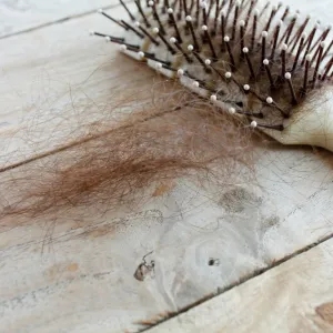 Escova de cabelo