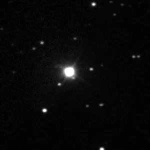Estrela