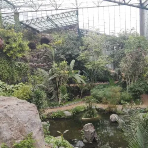 Estufa