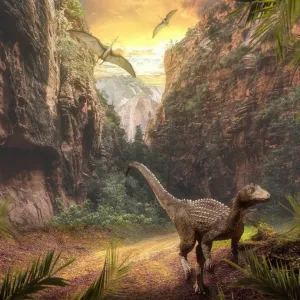 Extinção