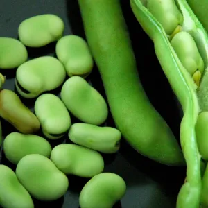 Favas