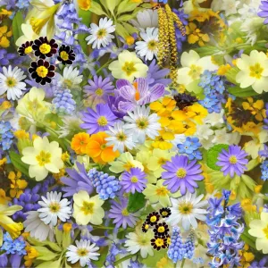 Florista