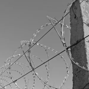 Fugitivo