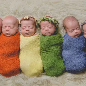 Gêmeos