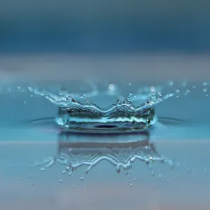 Gota