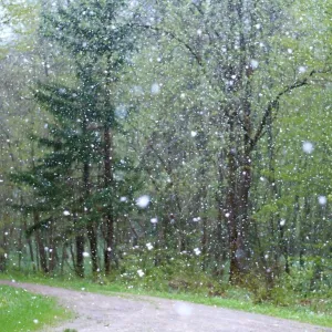 Granizo