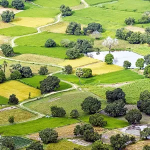 Granja