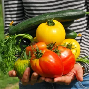 Horta