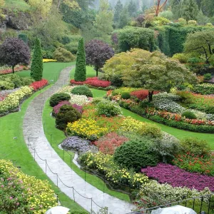 Jardim