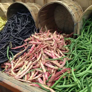 Legumes