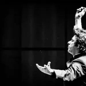 Maestro