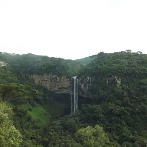 Mato