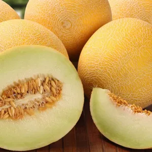 Melão