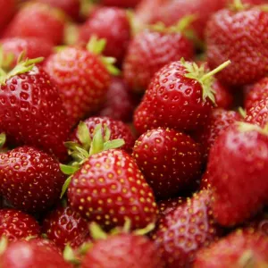 Morango