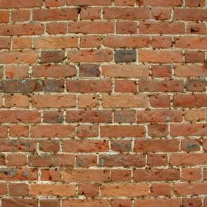 Muro